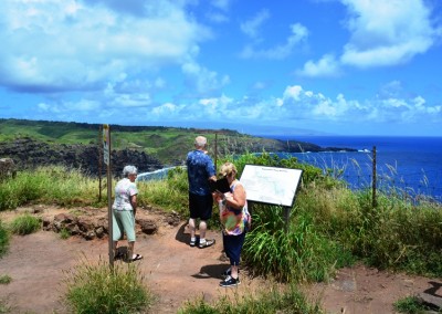 Stardust Hawaii Discounted Tours (10)