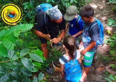 Stardust Hawaii Treasure Hunt August 7.wjpg