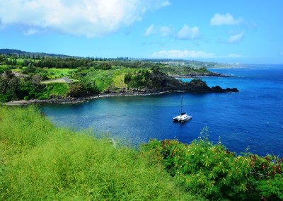 Stardust Hawaii Discounted Tours (1)