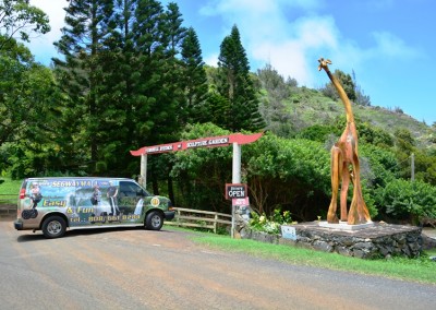 Stardust Hawaii Discounted Tours (15)
