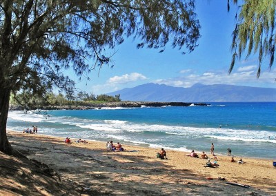Stardust Hawaii Discounted Tours (22)