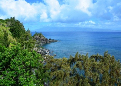 Stardust Hawaii Discounted Tours (24)
