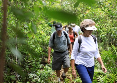 Enjoy the  beauty and diversity of Kauai’s interior.