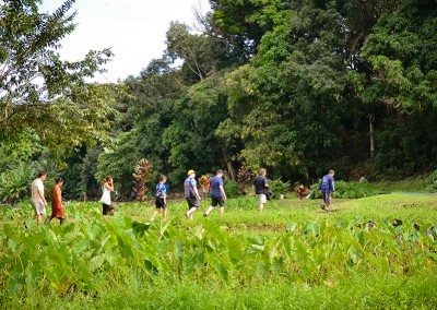 Stardust Hawaii senior tour  west Maui