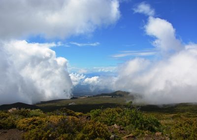 Haleakala vip tour with Stardust Hawaii web